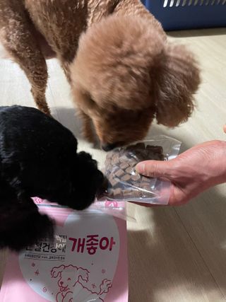 My Pet Care 천연단백질 관절건강에 개좋아 — 5점을 준 리뷰어가 2021년 2월 올린 사용 사진