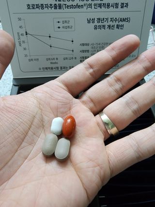 닥터피엔티 [Dr.PNT] 남성 건강 올인원! 테스마젠 — 5점을 준 리뷰어가 2022년 11월 올린 사용 사진