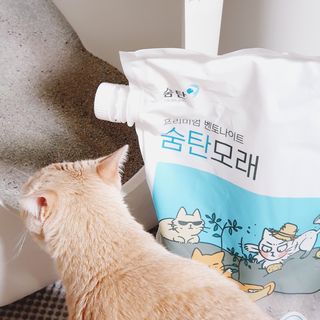 JENNY님이 올린 리뷰 사진 4