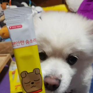 [레모나] 강아지 레모나 강아직 영양 간식 4종 택 1 — 4점을 준 리뷰어가 2024년 1월 올린 사용 사진