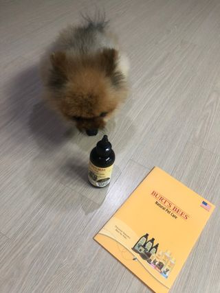 쭈야님이 올린 리뷰 사진 1