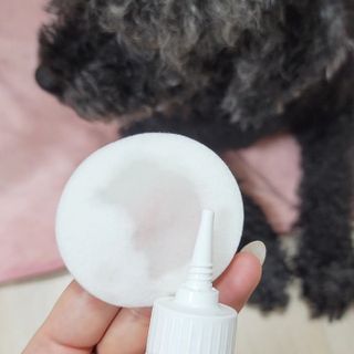 [댕모어 클리너 3종] 아이클리너 / 이어클리너 / 덴탈클리너 3종 세트 (120ml) — 2점을 준 리뷰어가 2023년 8월 올린 사용 사진