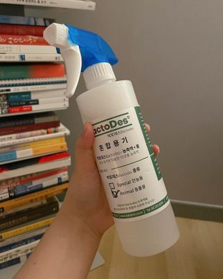 윱님이 올린 리뷰 사진 2