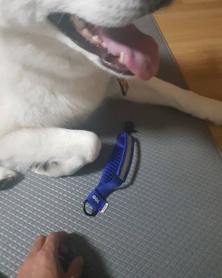 딸랑구둘🥰님이 올린 리뷰 사진 4