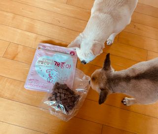 My Pet Care 천연단백질 관절건강에 개좋아 — 4점을 준 리뷰어가 2021년 2월 올린 사용 사진