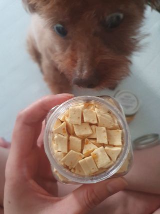 페페로니 진짜 프리바이오틱스 치즈+치즈고구마 180g+180g — 5점을 준 리뷰어가 2021년 7월 올린 사용 사진