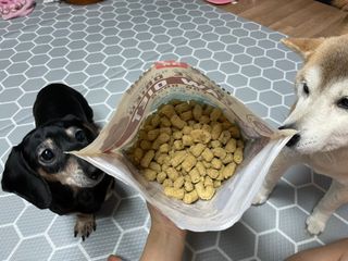 라미라미님이 올린 리뷰 사진 4