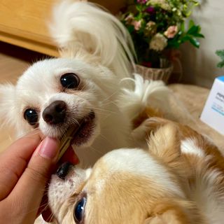 쏭블리님이 올린 리뷰 사진 2