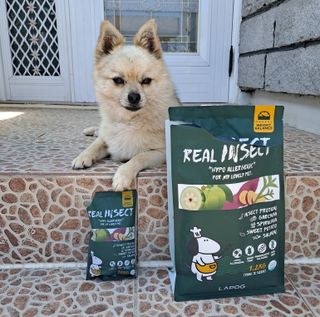 [푸디웜] 라포그  리얼인섹트 웨이트밸런스 저알러지 강아지 사료  1.2KG — 4점을 준 리뷰어가 2022년 7월 올린 사용 사진