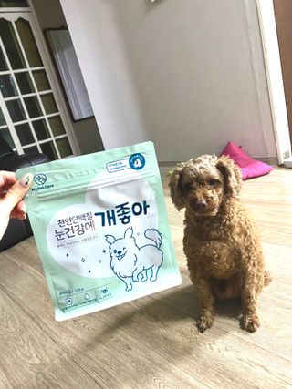 My Pet Care 천연단백질 눈건강에 개좋아 — 4.5점을 준 리뷰어가 2021년 4월 올린 사용 사진