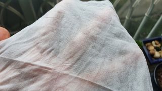 련리님이 올린 리뷰 사진 2