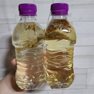 chuple님이 올린 리뷰 사진 3