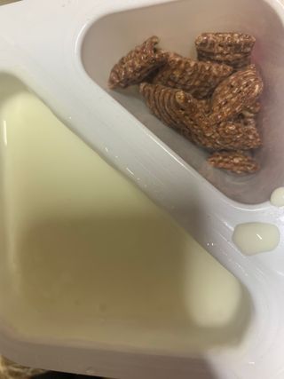 빠앙리님이 올린 리뷰 사진 3