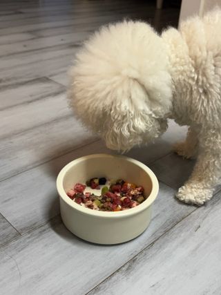큐티윤님이 올린 리뷰 사진 4