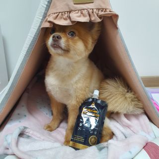 미뎡님이 올린 리뷰 사진 1