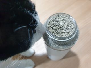 퓨리아님이 올린 리뷰 사진 1