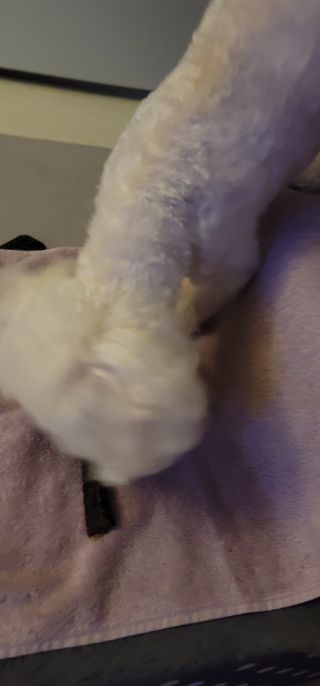 땅콩빠다님이 올린 리뷰 사진 3