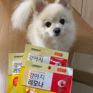 [레모나] 강아지 레모나 강아직 영양 간식 4종 택 1 — 5점을 준 리뷰어가 2024년 1월 올린 사용 사진