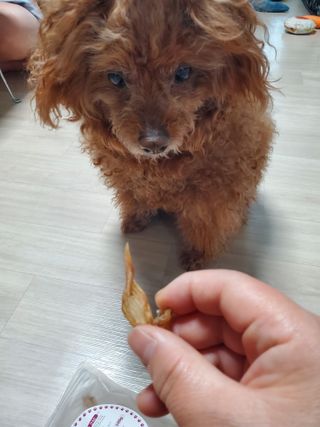 준맘님이 올린 리뷰 사진 1