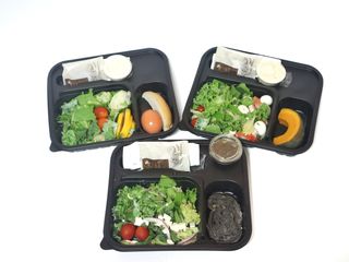 참살이도시락 작심삼일 샐러드도시락 3개 맛보기 새벽배송 또는 택배배송 — 5점을 준 리뷰어가 2021년 8월 올린 사용 사진