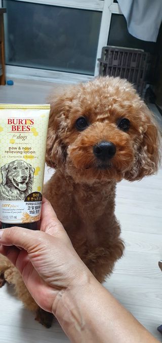 민쓰님이 올린 리뷰 사진 2
