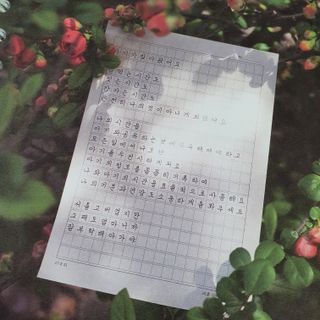 마마루샤님이 올린 리뷰 사진 4