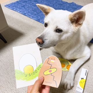 나래님이 올린 리뷰 사진 2