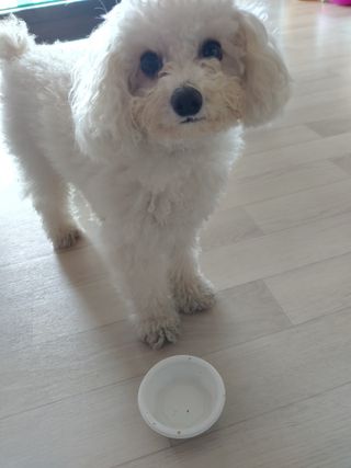 햇님달님님이 올린 리뷰 사진 1