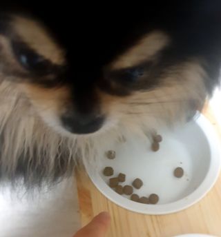성욘님이 올린 리뷰 사진 3
