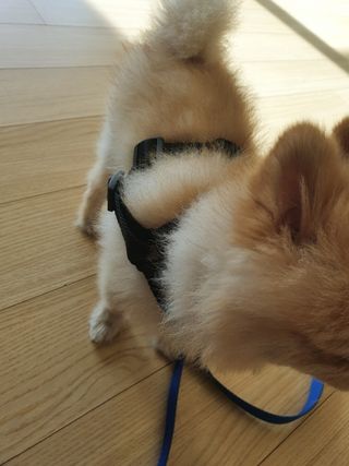 보미누나님이 올린 리뷰 사진 1