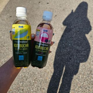 더그레잇티 콤부차 [매일유업] 더그레잇티 44kcal 콤부차 300ml *12개입 (오리지널 6개+베리리치 6개) — 5점을 준 리뷰어가 2023년 8월 올린 사용 사진