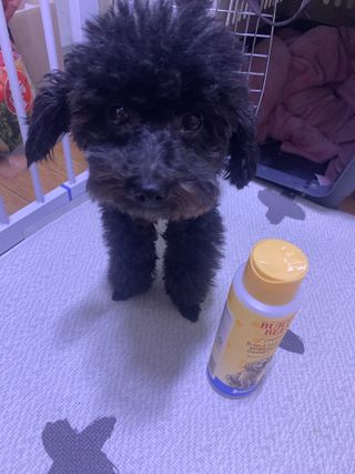 정토순님이 올린 리뷰 사진 1