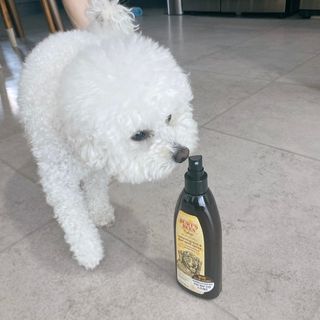 JENNY님이 올린 리뷰 사진 2