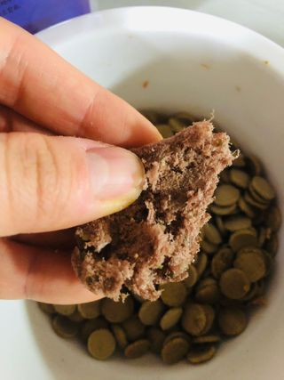 펫에이블 데일리바이트 키토 [비프], [치킨] — 4.5점을 준 리뷰어가 2021년 8월 올린 사용 사진