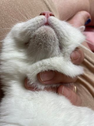 주희렐라님이 올린 리뷰 사진 4