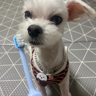 당근님이 올린 리뷰 사진 1