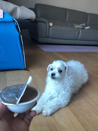 도미노님이 올린 리뷰 사진 2