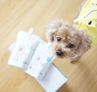 윤디캔디님이 올린 리뷰 사진 4