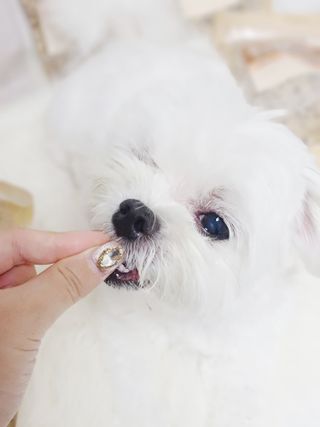 송린깡님이 올린 리뷰 사진 3