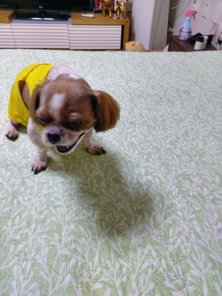 He님이 올린 리뷰 사진 3