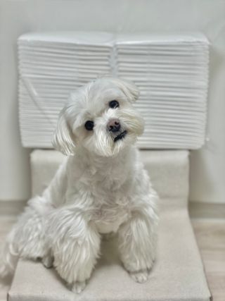 황순희님이 올린 리뷰 사진 3
