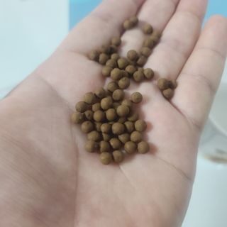 곰같은여우님이 올린 리뷰 사진 2