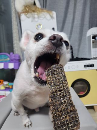 지지지햐님이 올린 리뷰 사진 2