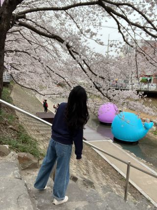 베리님이 올린 리뷰 사진 2