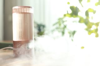 sointotea님이 올린 리뷰 사진 1