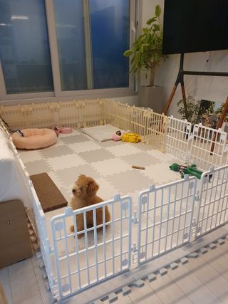 효효님이 올린 리뷰 사진 3