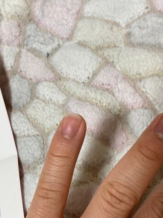 보크다님이 올린 리뷰 사진 3