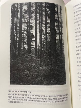 zwonnny님이 올린 리뷰 사진 2