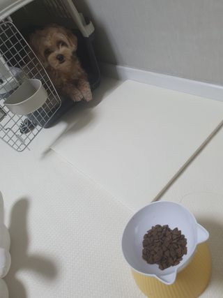 아코맘님이 올린 리뷰 사진 1