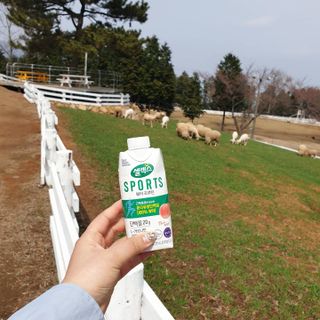 셀렉스스포츠 셀렉스 스포츠 웨이 프로틴 복숭아_ 330ml x 12팩 — 5점을 준 리뷰어가 2021년 3월 올린 사용 사진